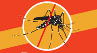 Dengue: 5 die, 274 hospitalized in last 24hrs